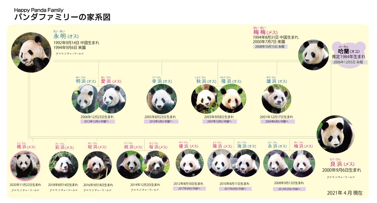 東京でパンダが産まれるとトレンド入りするけど和歌山でパンダがおもくそ産まれてても話題にならないの悲しいから見て   