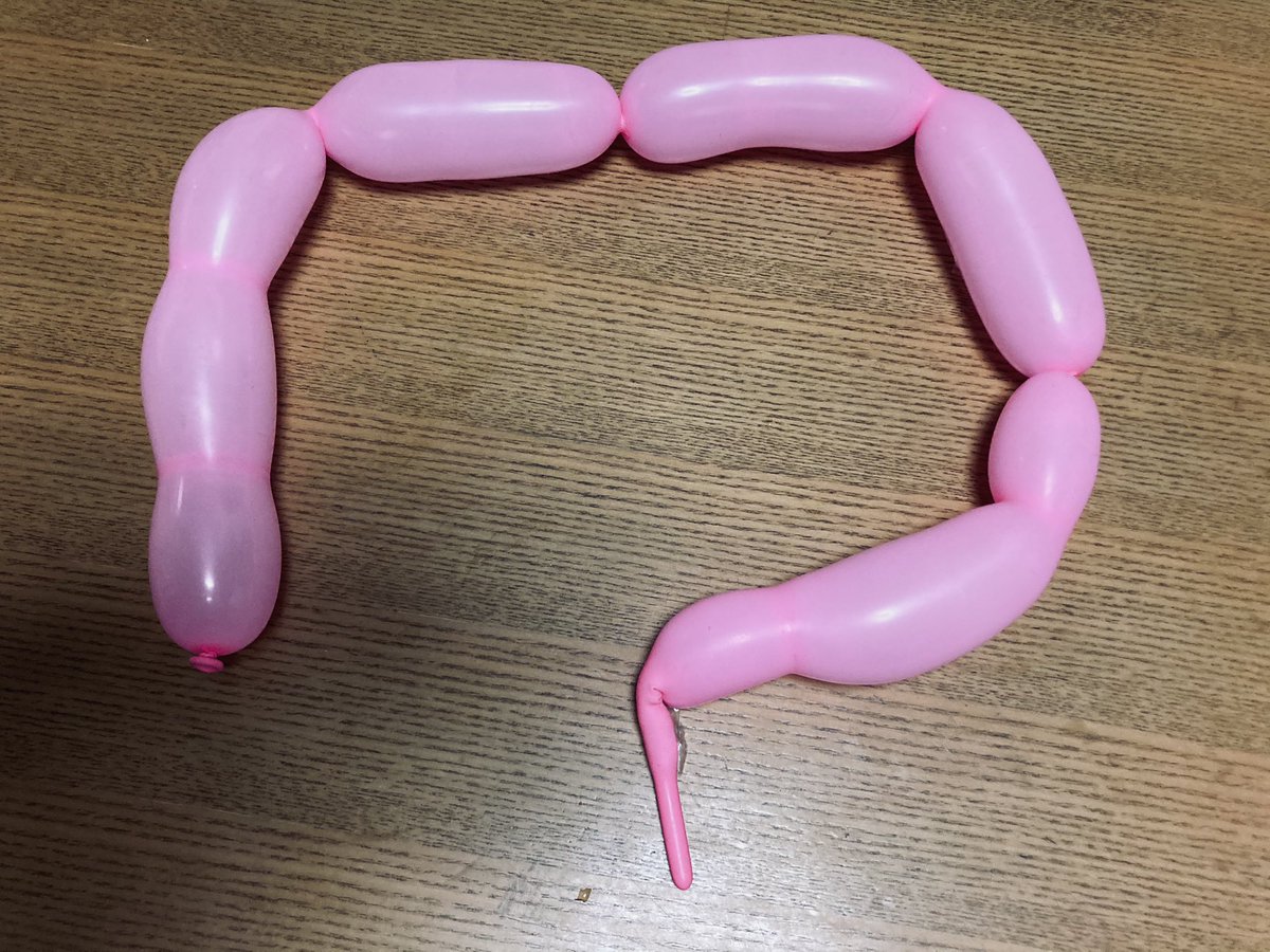 バルーンアート「大腸」 