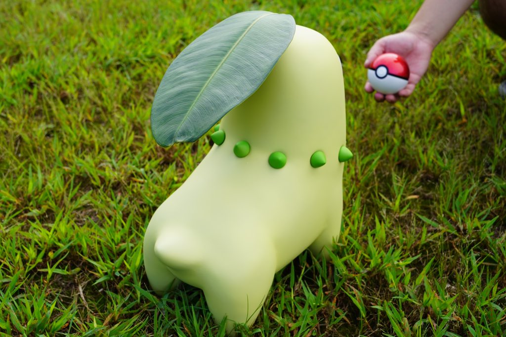   葉っぱにはゴムの木の葉を使用しています🌿 