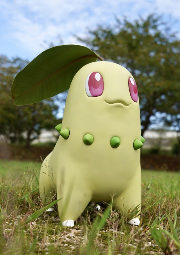   葉っぱにはゴムの木の葉を使用しています🌿 