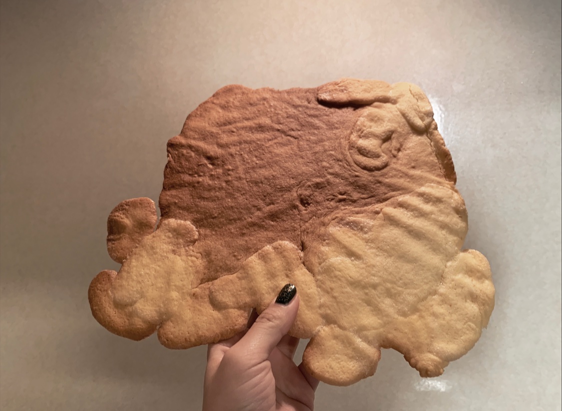 何もかもうまくいかなくて嫌になったやつ(私)が作ったクッキーみて