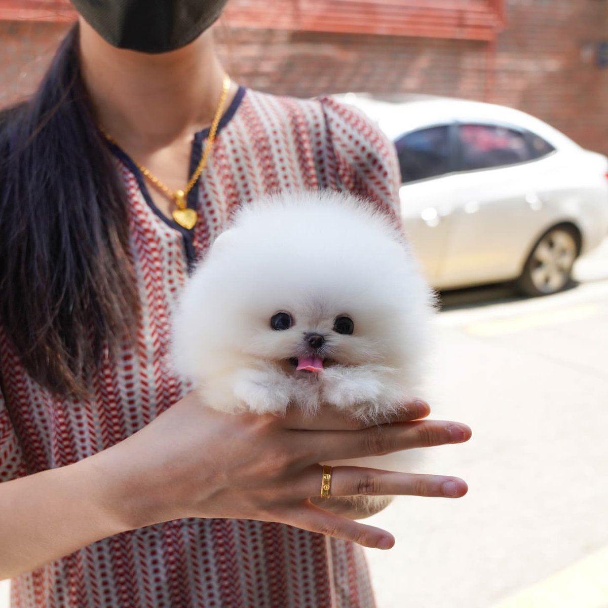 おや、マシュマロのヒナが元気に孵化したようですねぇ  📷  