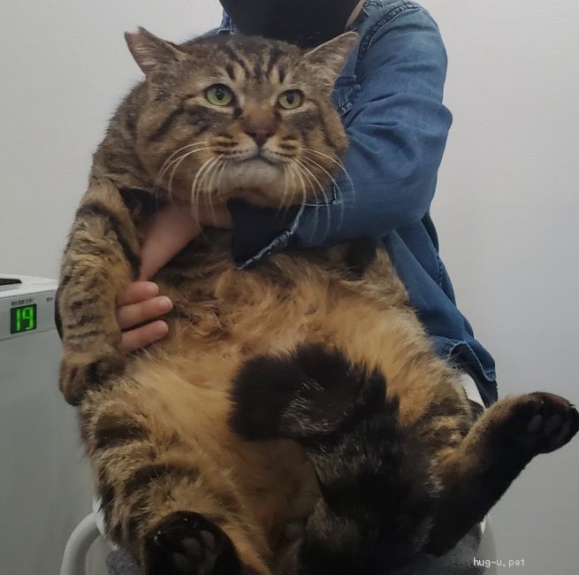 名前は寅吉、ぴったりすぎ