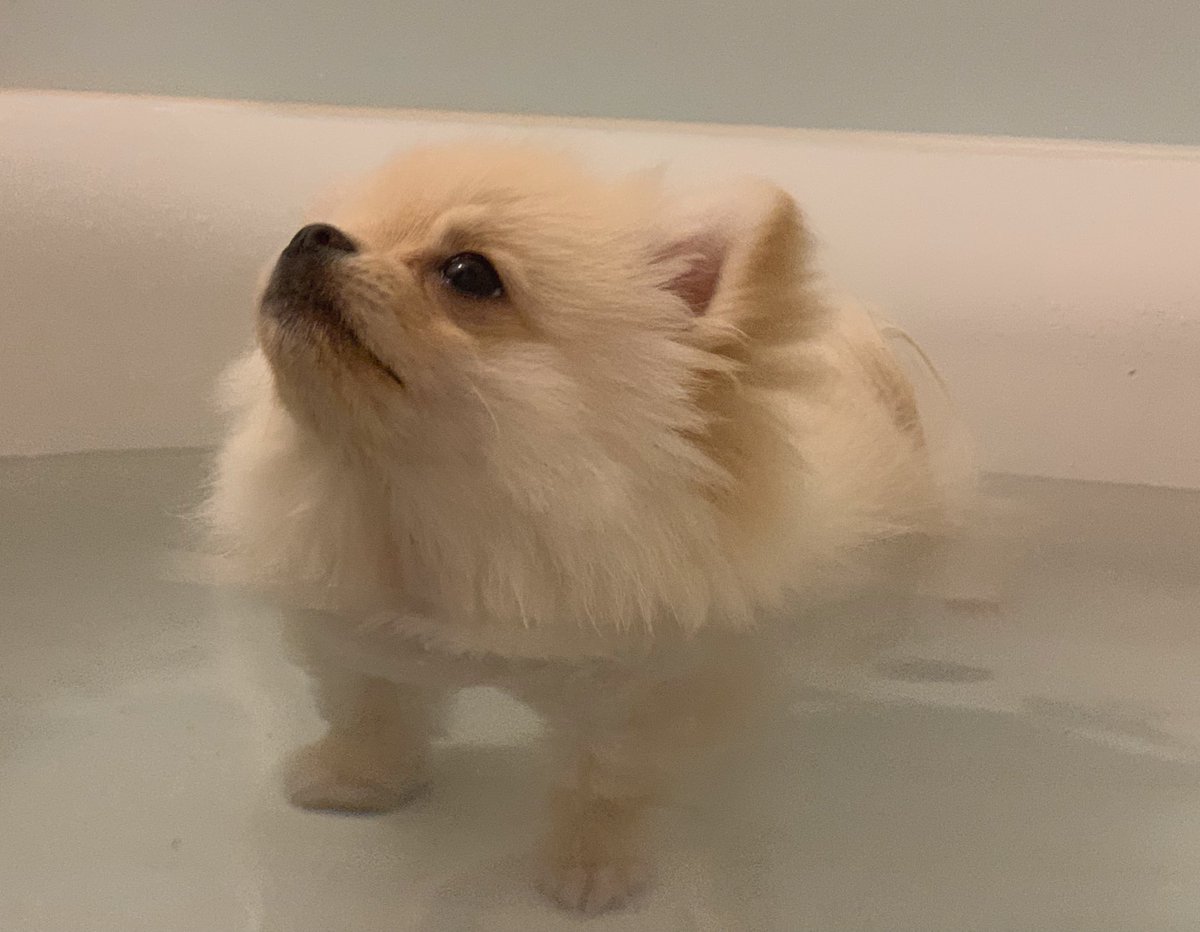 いい湯だな〜♨️ 