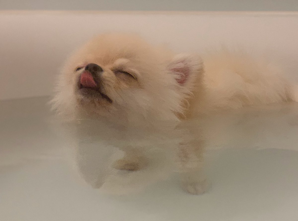 いい湯だな〜♨️ 