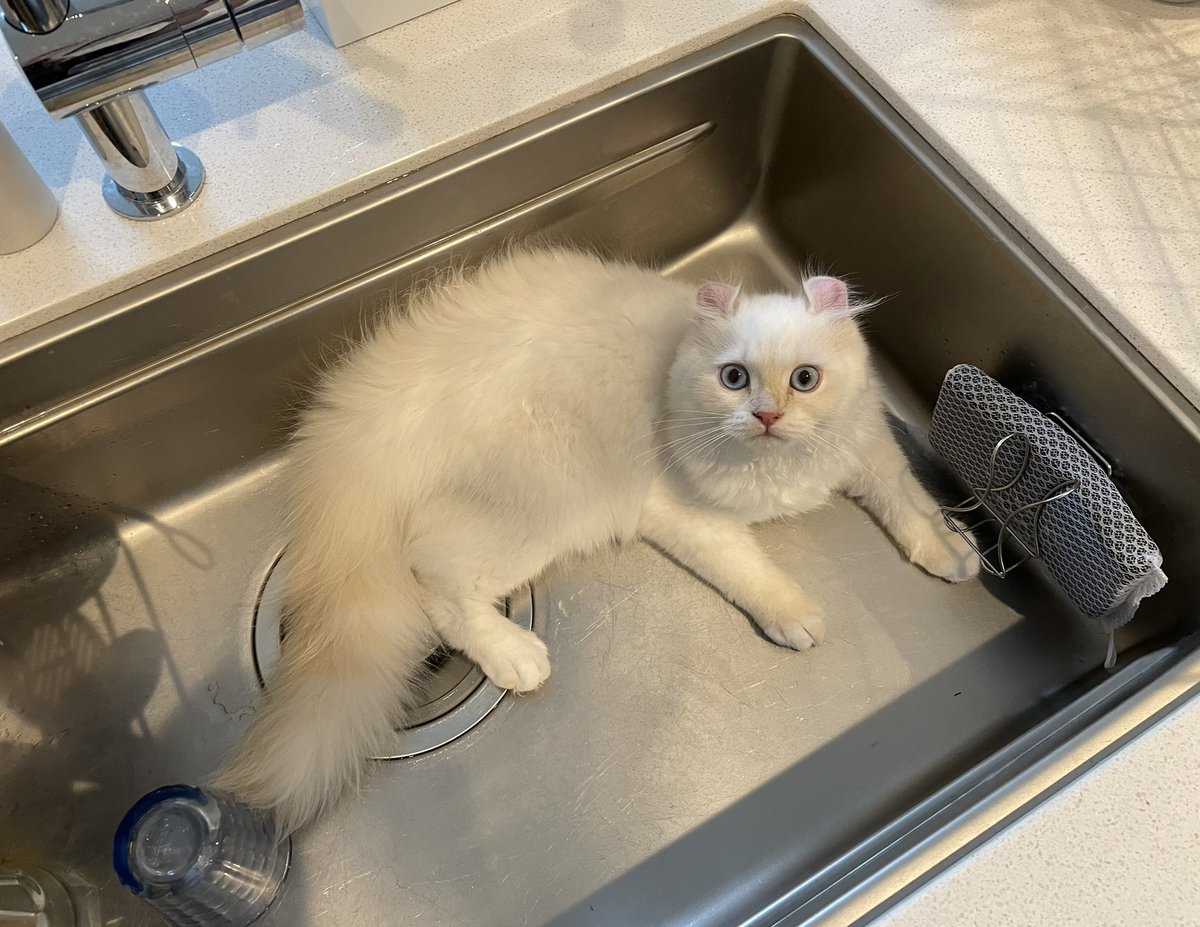 毎回注意してるのに予想外みたいな顔するのやめな 