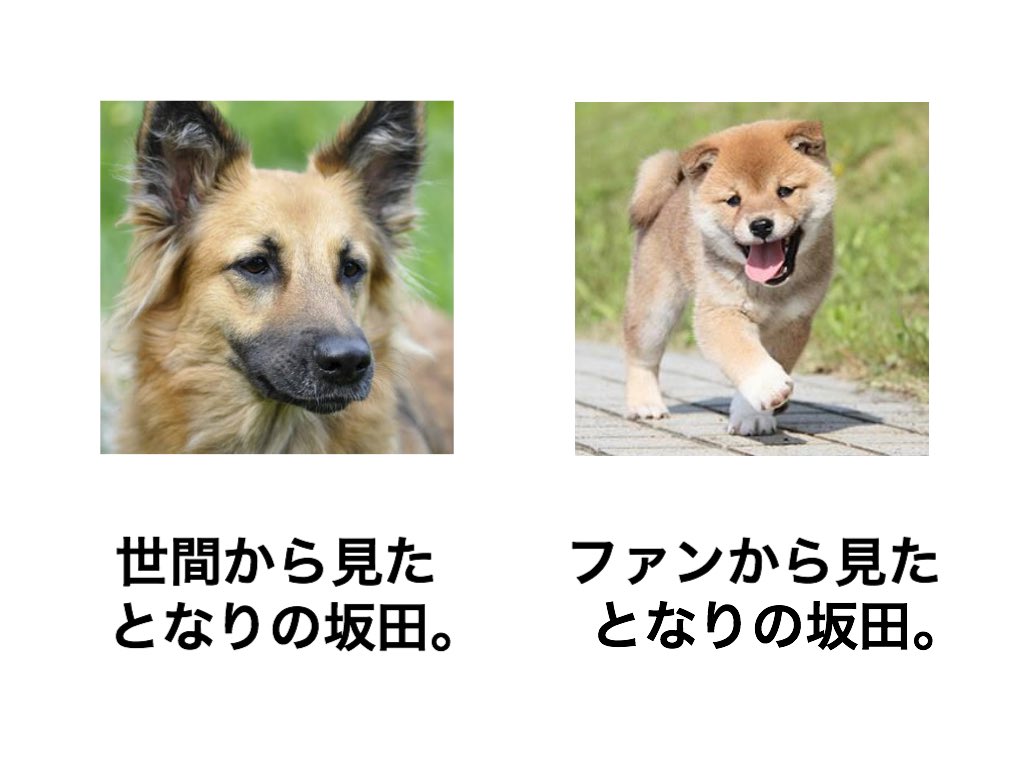 世間から見た○○とファンから見た○○シリーズ  Ver.浦島坂田船 