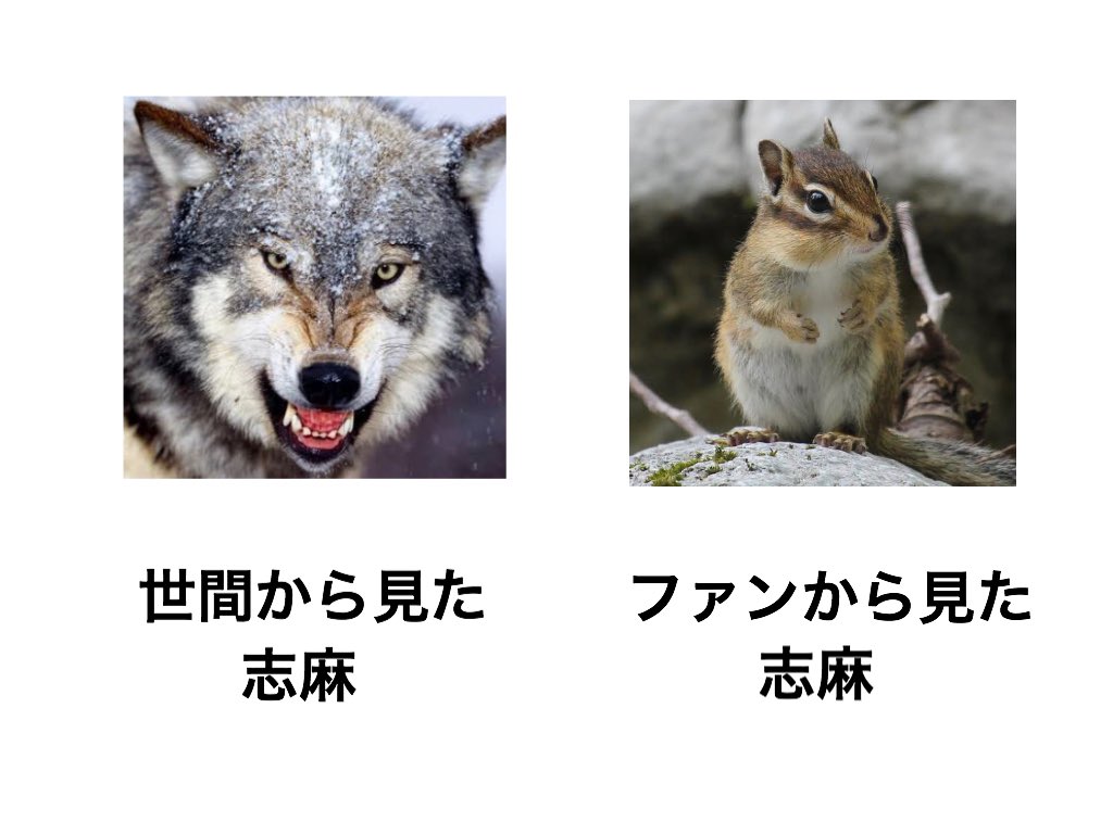 世間から見た○○とファンから見た○○シリーズ  Ver.浦島坂田船 