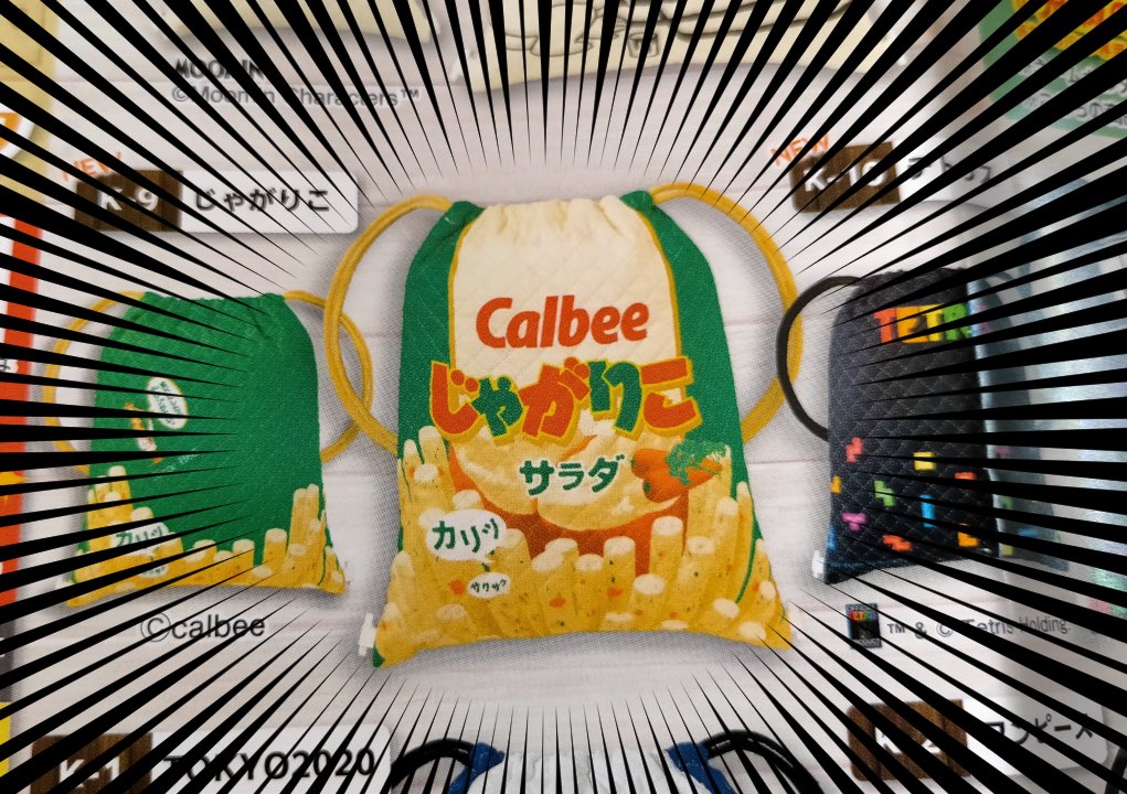 娘が小6家庭科で作るナップサックのカタログ持ち帰ってきた 私「まあ彫刻刀ケースや書道セットと同じで無難なの選ぶしか…」 私「…イイのあるじゃん