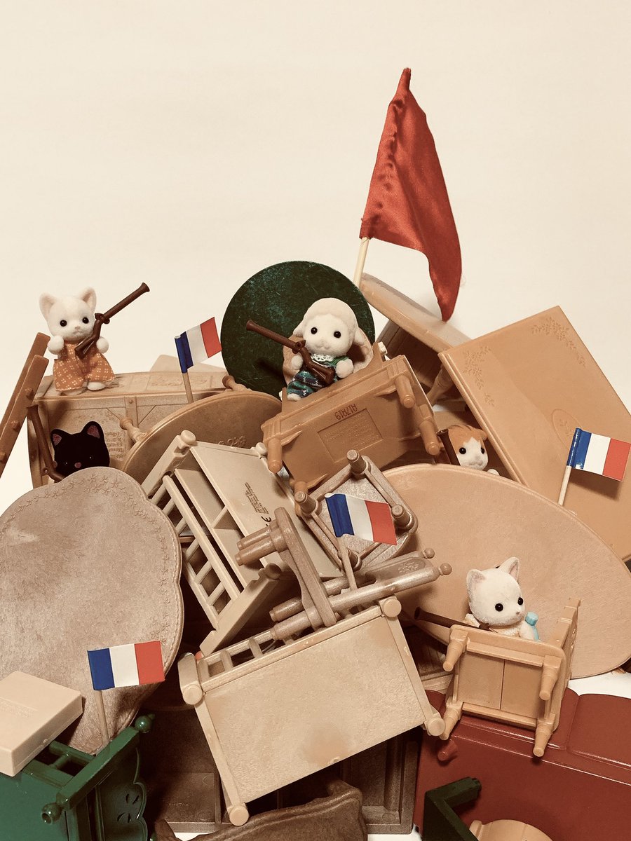 かくめい！🇫🇷🇫🇷 