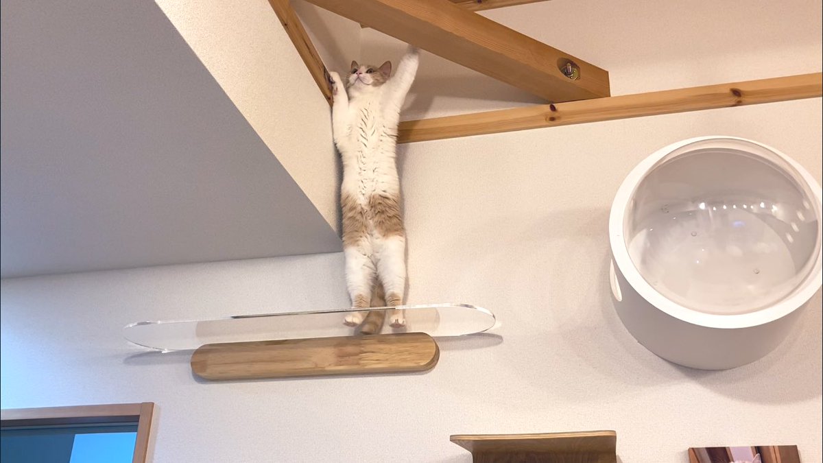 ゴールデンウィークぞ！！ 