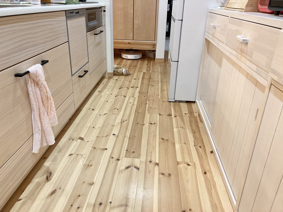 残業から帰って来てこれは沁みる 