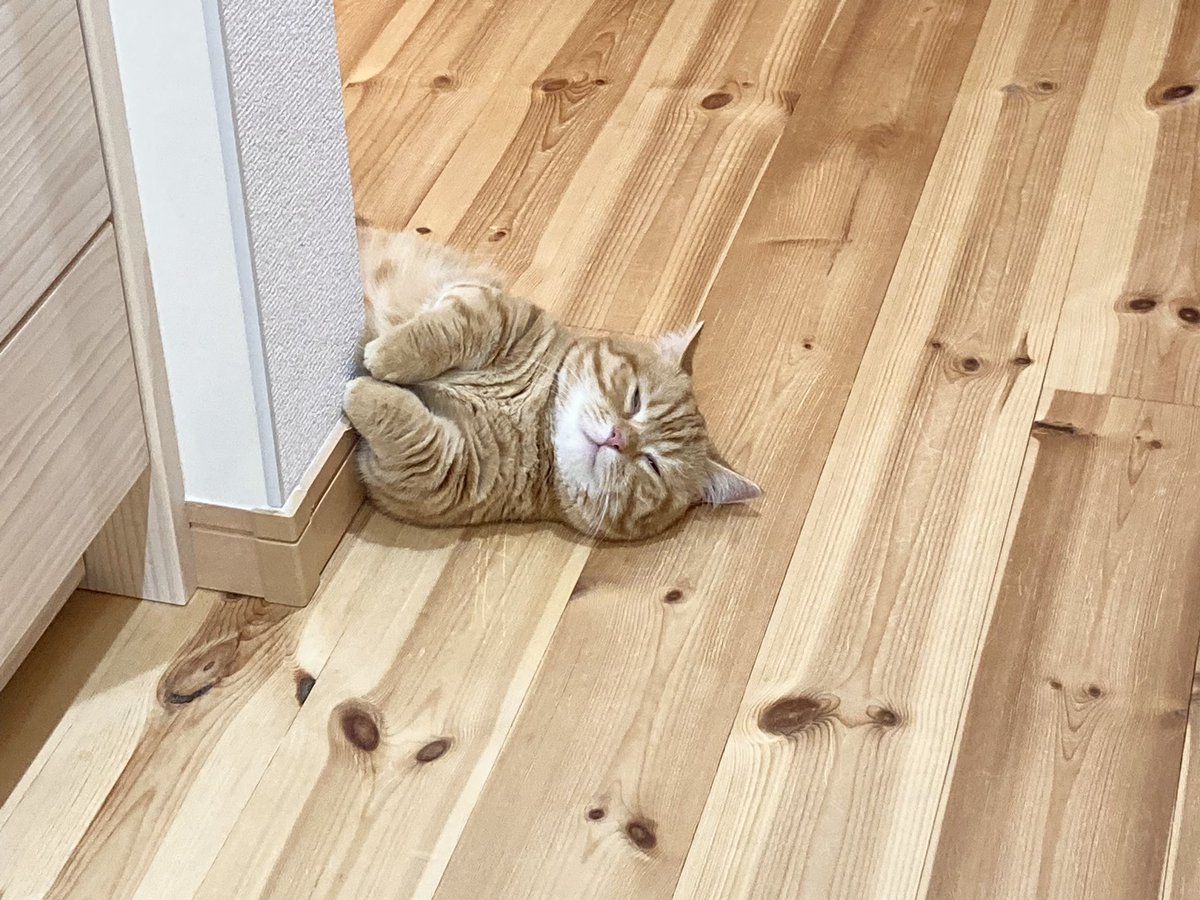 残業から帰って来てこれは沁みる 