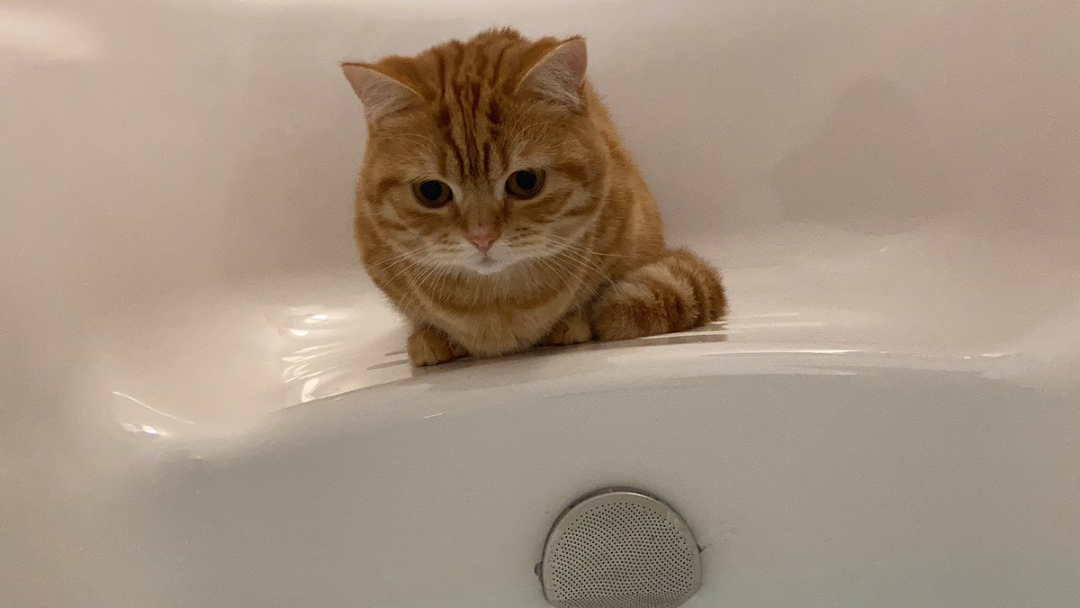 給湯ボタン押したらダッシュで参上 