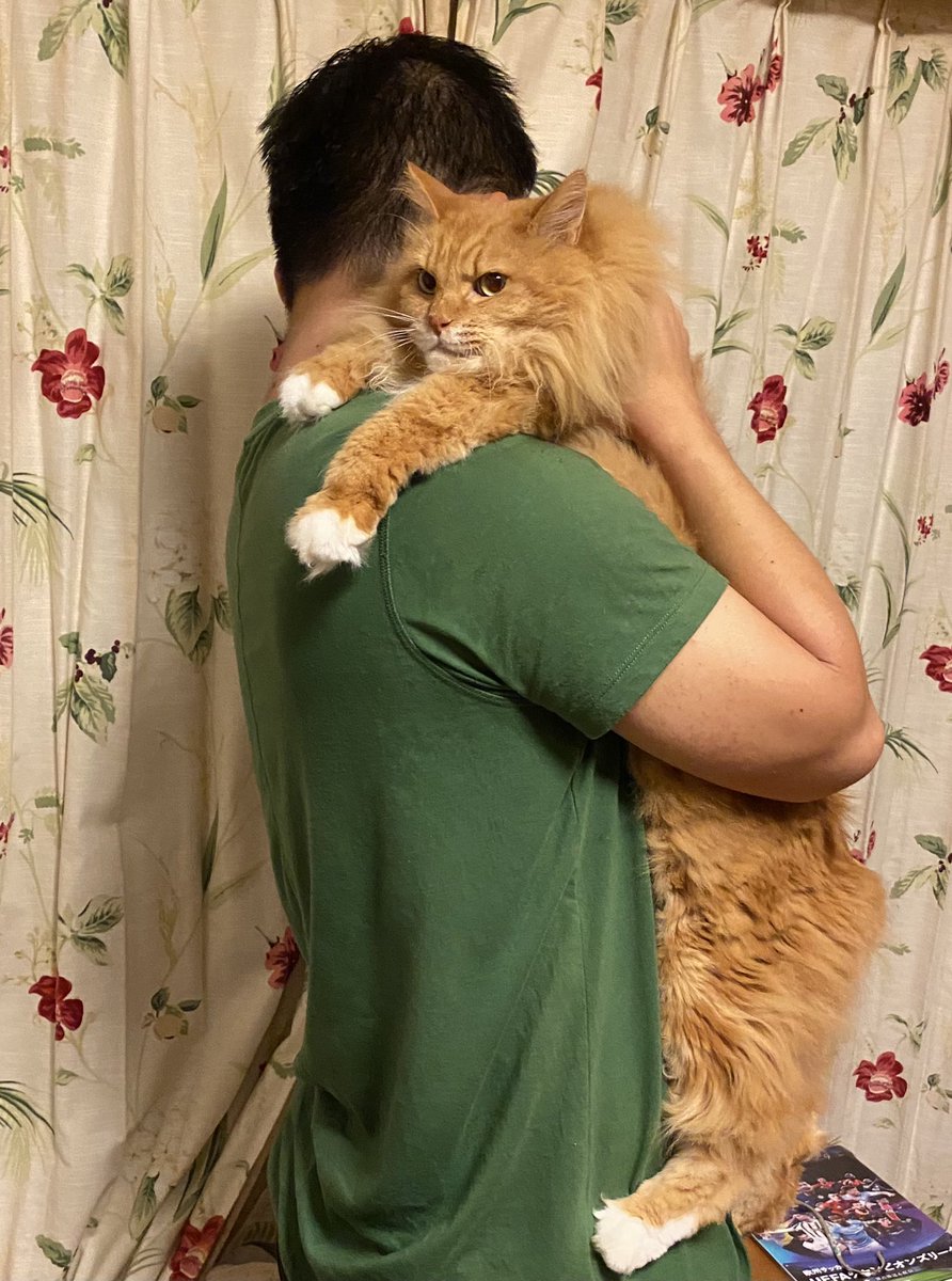 今日は出会った記念日。10年だにゃ。 