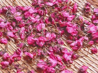 桜の塩漬けって染井吉野で作るのかと思ったら八重桜らしい