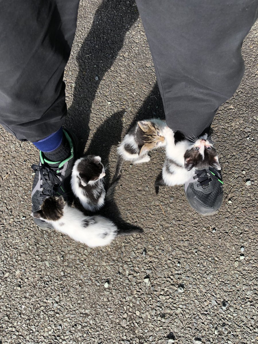 朝から会社の駐車場で熱烈な歓迎を受けるなど 