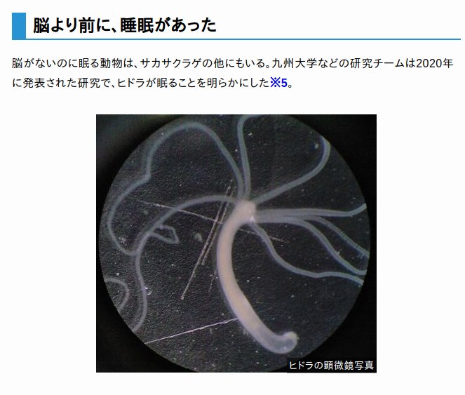 腦より前に、睡眠があった 