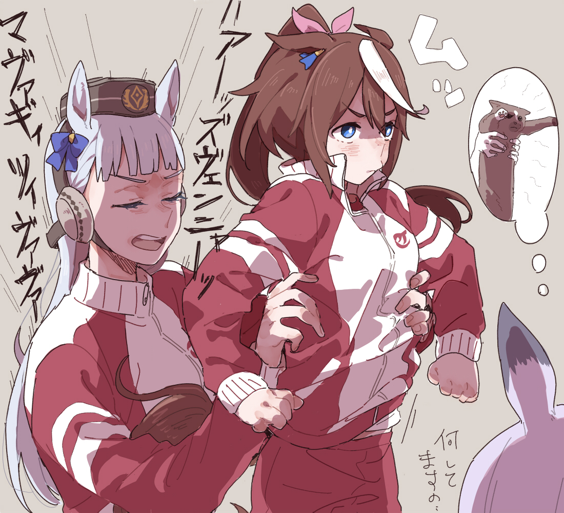 時々🦁kingごっこで遊ばれるﾃｲｵｰ 