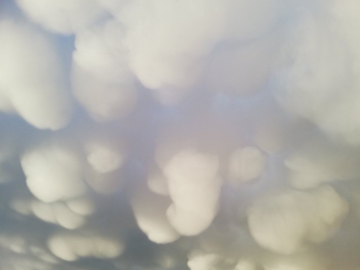 にわか雨上がったら雲こんな形になってて凄かった。めっちゃ面白い形。 