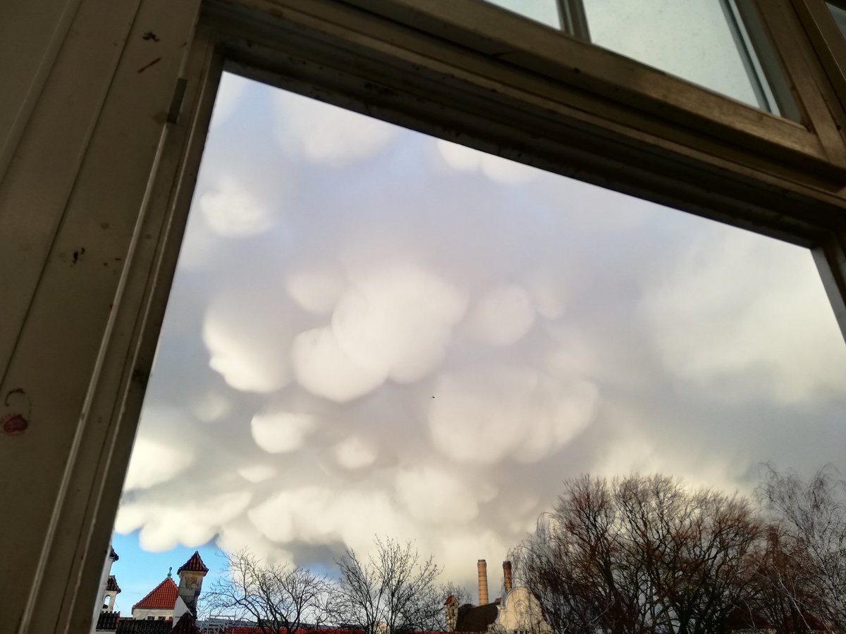 にわか雨上がったら雲こんな形になってて凄かった。めっちゃ面白い形。 