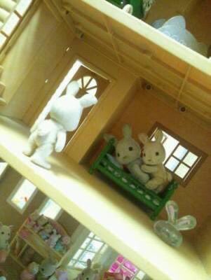 シルバニアファミリーの悲劇 