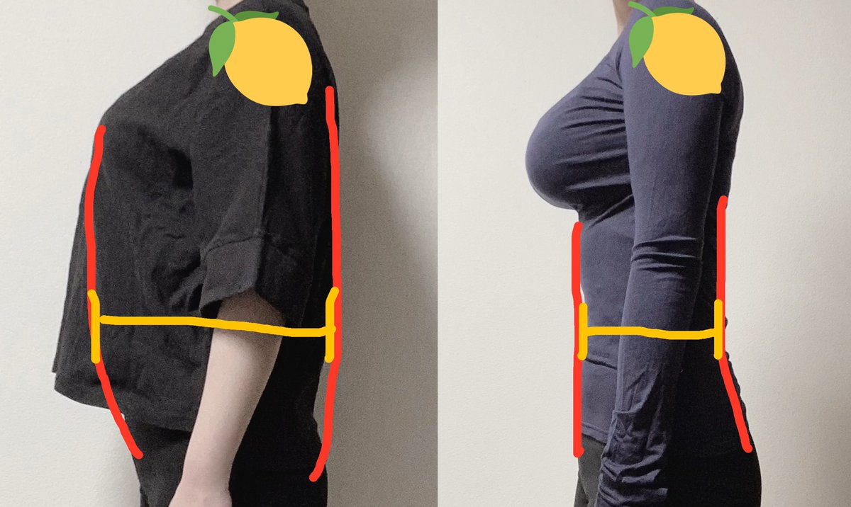 胸が大きい人がピタピタの服を着るのは ウエストがこれくらいの差に見えるからだよ