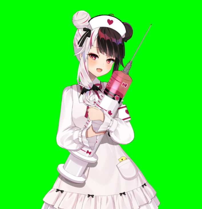  ずっと前からメイド服とナース服が欲しかったので作っていただきました