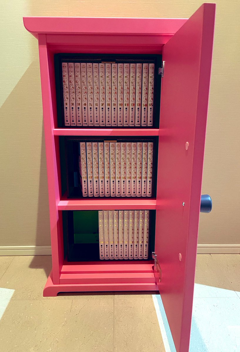 未来デパートからどこでもドアが届きました。 