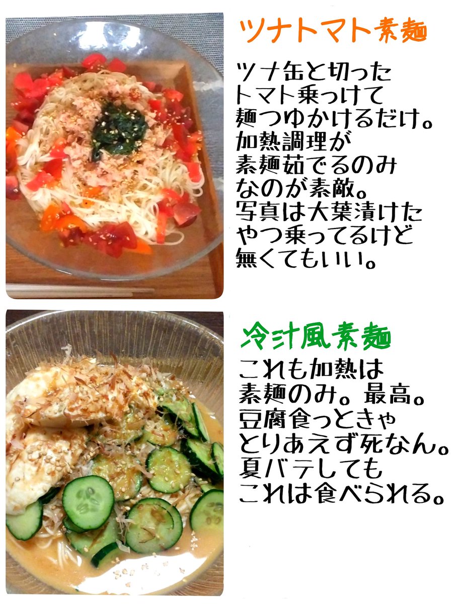 夏場は野生動物並に火を嫌う私がこれからの時期毎年作るそうめんアレンジまとめた