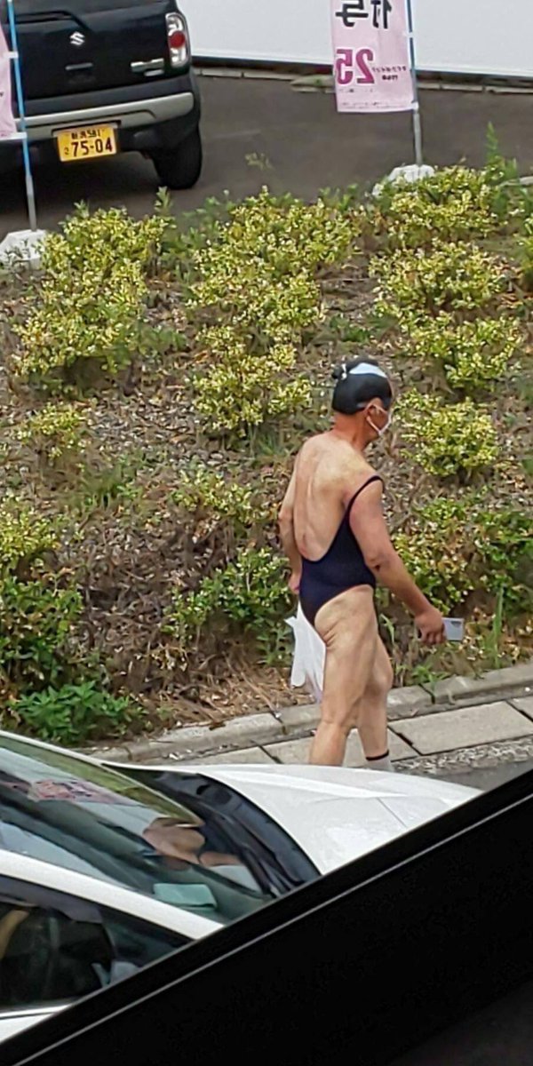 わたしの愛する私の地元は 水が綺麗で 人が生真面目で まだ緑も多い　すてきなところです 写真は昨日の地元新潟市の風景です 