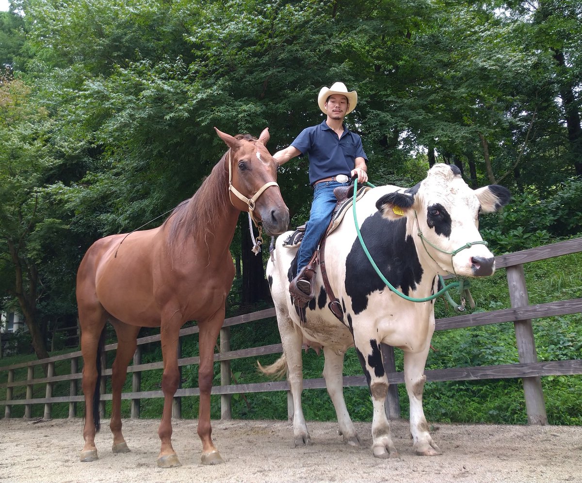 六甲山牧場には自分の事を馬だと思っている牛がいます🐄  名前はランボルギーニ❗❗  子供の時から馬の群れで育ったので馬のように走り、馬のように人も乗せれます🐎  #六甲山牧場 #乳牛 #ホルスタイン #乗牛 