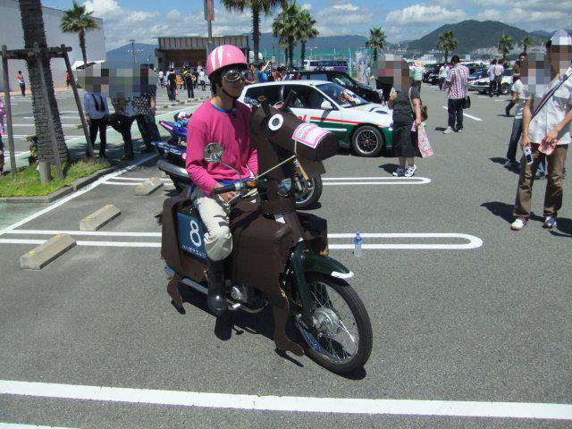 ハリボテエレジー（中身はカブ）を知ってる人はいったい何人いらっしゃるのかしら🤔 