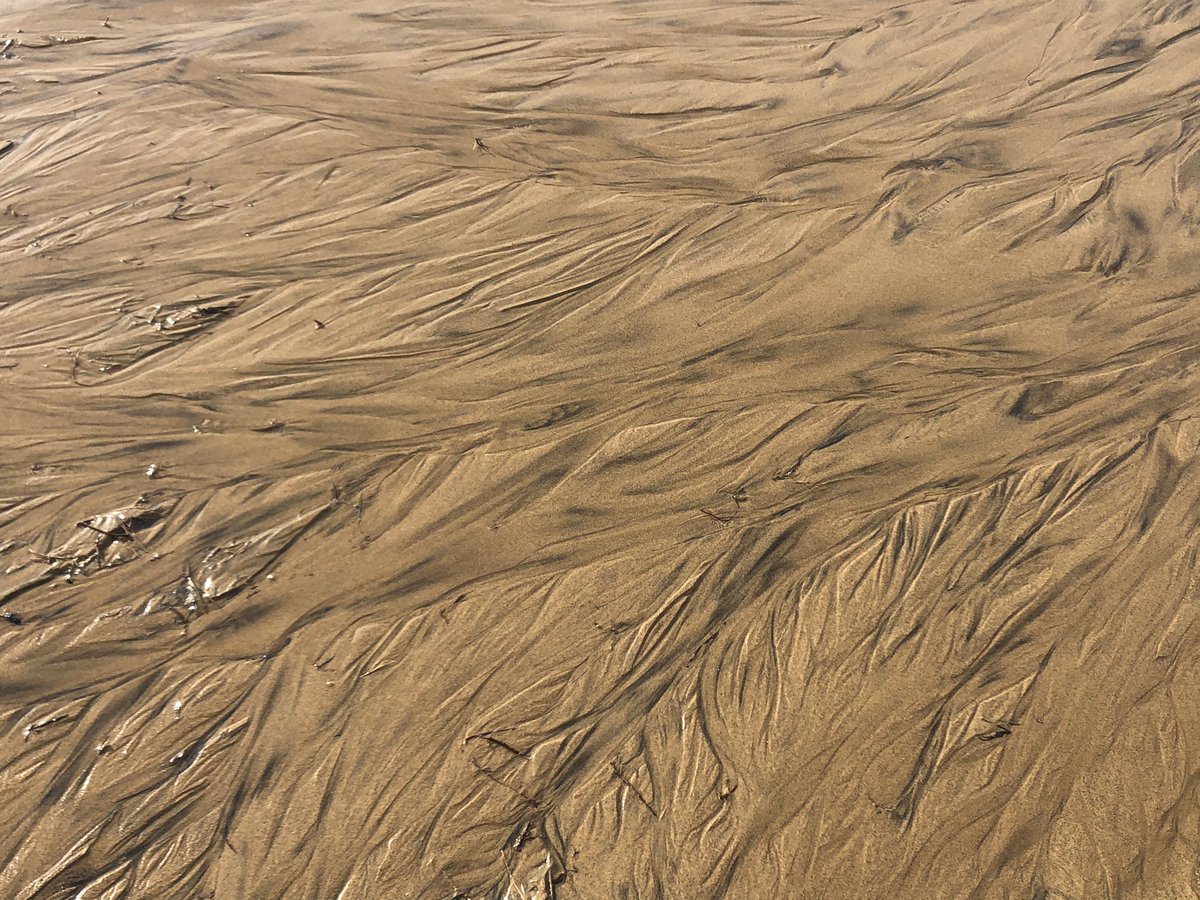 砂に積もった雪の上にまた砂が積もって踏むと不思議な感覚だった😳 #鳥取砂丘 