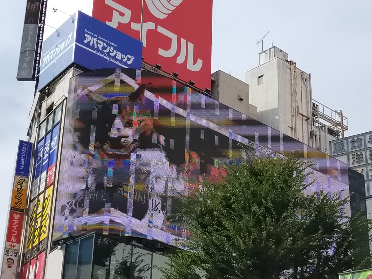 なんか猫バグってますけど 