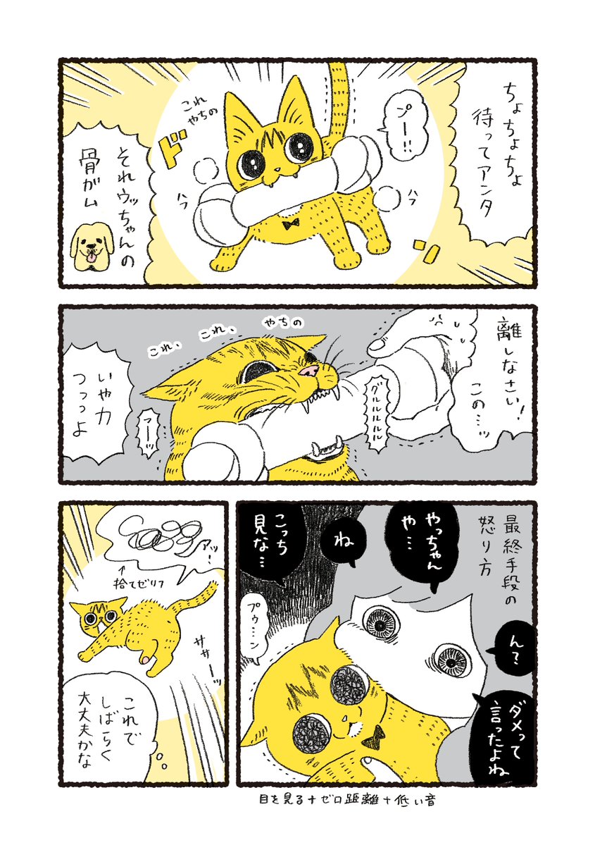 やっちゃんの食欲が凄かった頃の話 