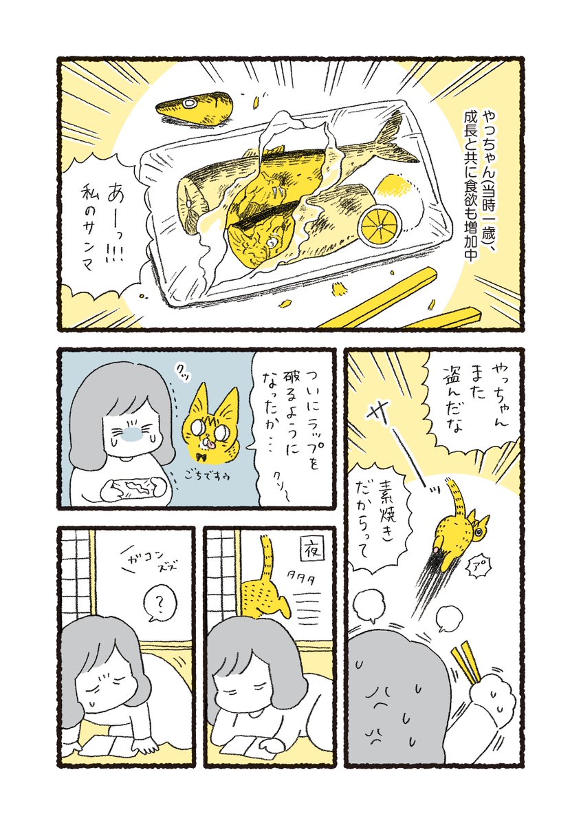 やっちゃんの食欲が凄かった頃の話 