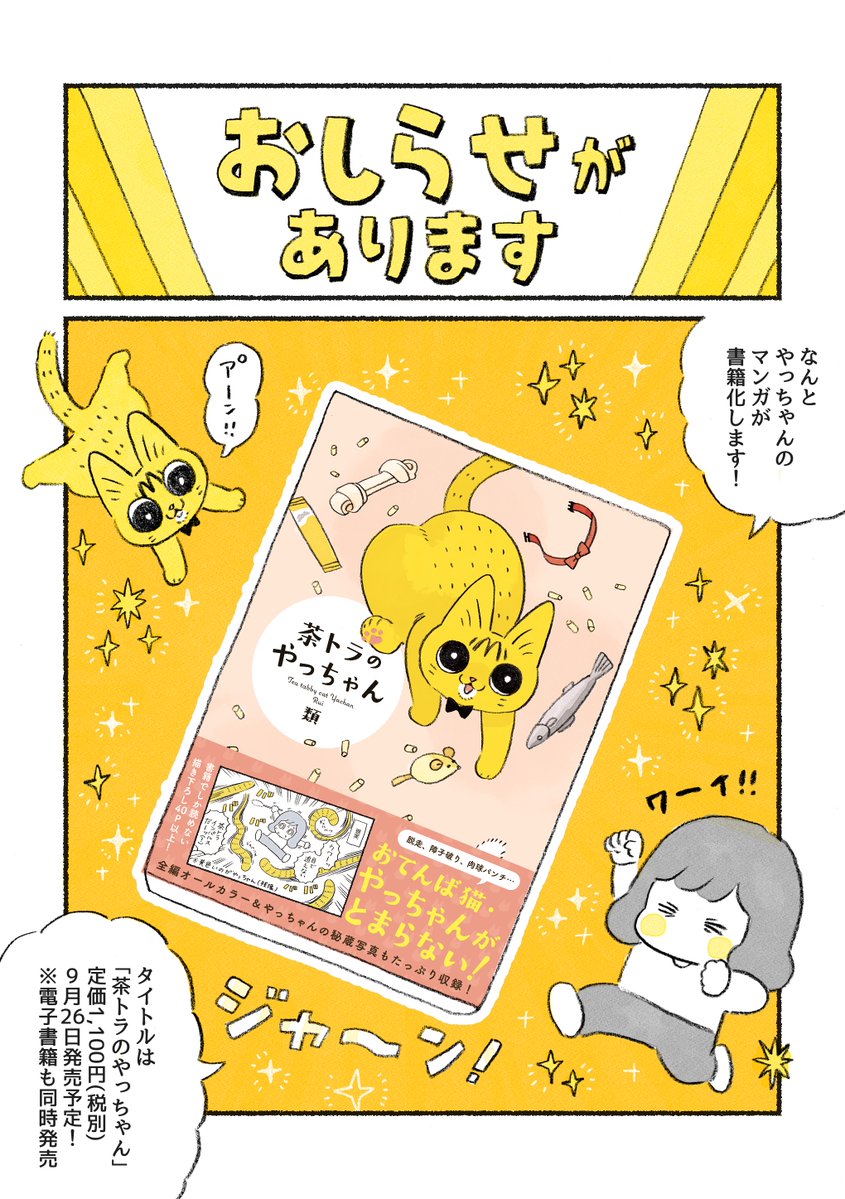 【おしらせ】🎉やっちゃんのマンガが書籍化します🎉 「茶トラのやっちゃん」 2020年09月26日発売(電子書籍も同日発売) 定価1,100円(税別) Am(zonで予約・購入すると、特典でやっちゃんのスマホ用壁紙3種がもらえます💡 \おともやちのみんな、よろしくね〜