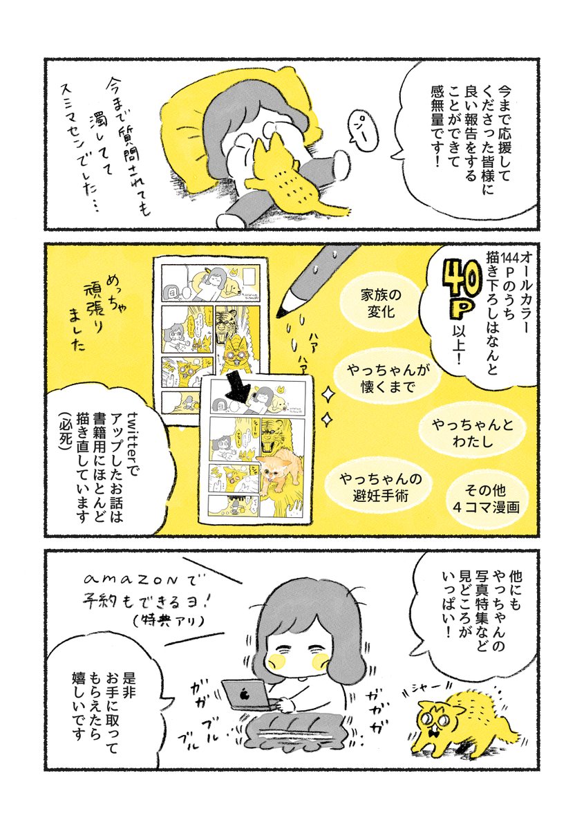 【おしらせ】🎉やっちゃんのマンガが書籍化します🎉 「茶トラのやっちゃん」 2020年09月26日発売(電子書籍も同日発売) 定価1,100円(税別) Am(zonで予約・購入すると、特典でやっちゃんのスマホ用壁紙3種がもらえます💡 \おともやちのみんな、よろしくね〜