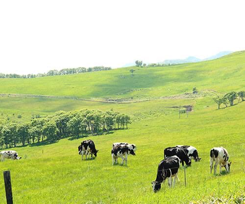 ←予想してた北海道大学 実際の北海道大学→