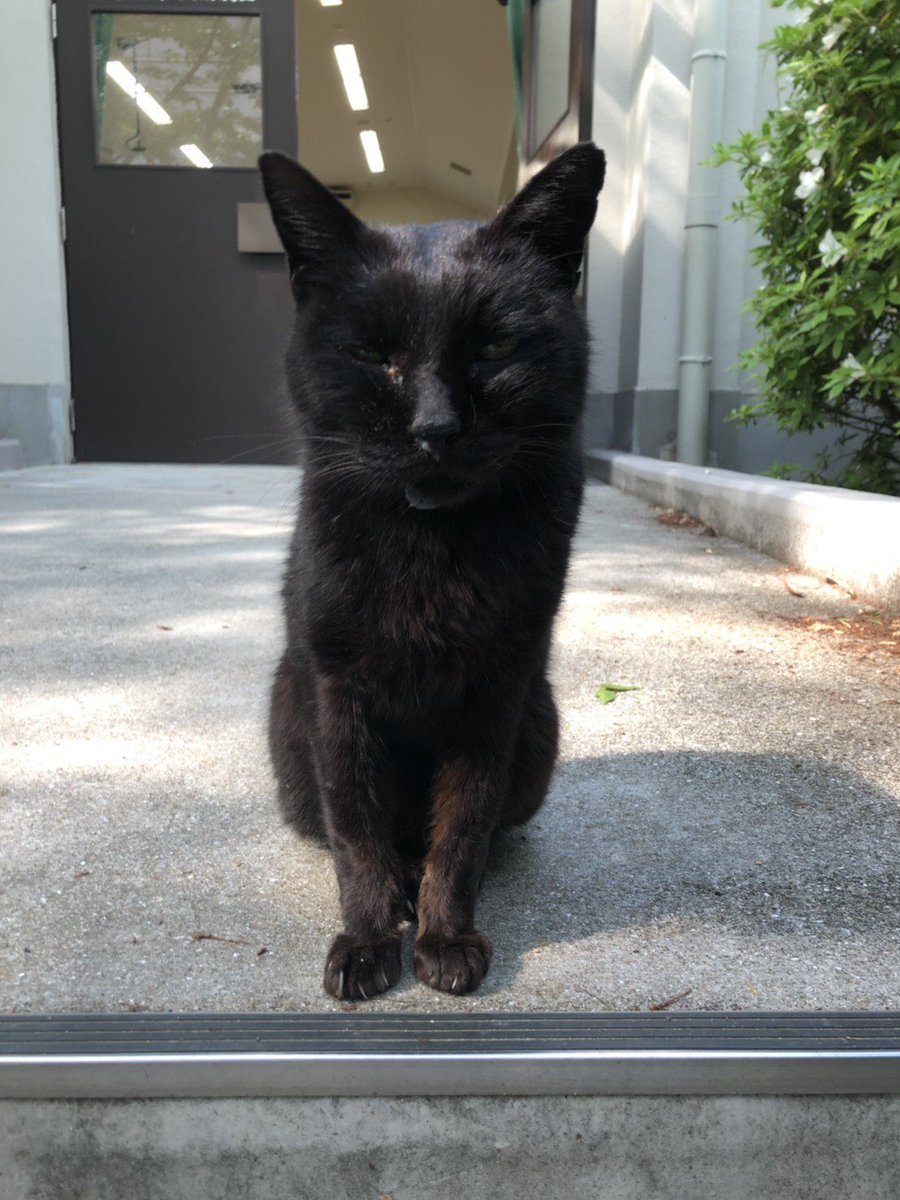 大講義室前でいつも私たち阪大生を見守ってくれていた斎藤さんが、先日お亡くなりになりました