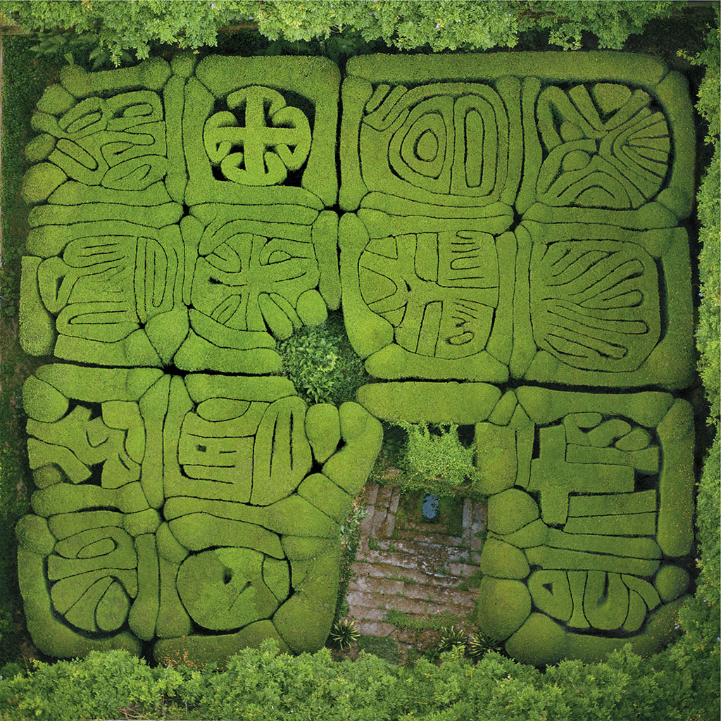 歳月を経て奇妙な文字のようになってしまった庭 