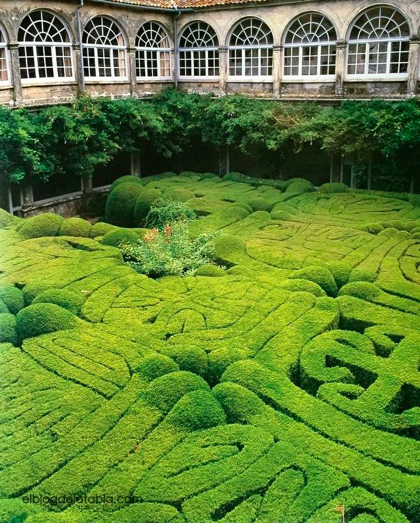 歳月を経て奇妙な文字のようになってしまった庭 