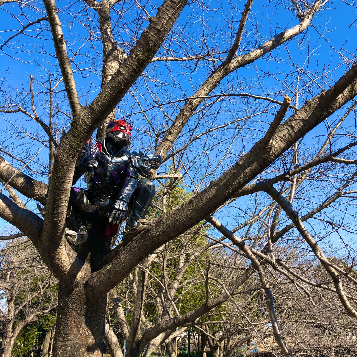  匂いも、風も、色んなモンが入り混じって流れてくる