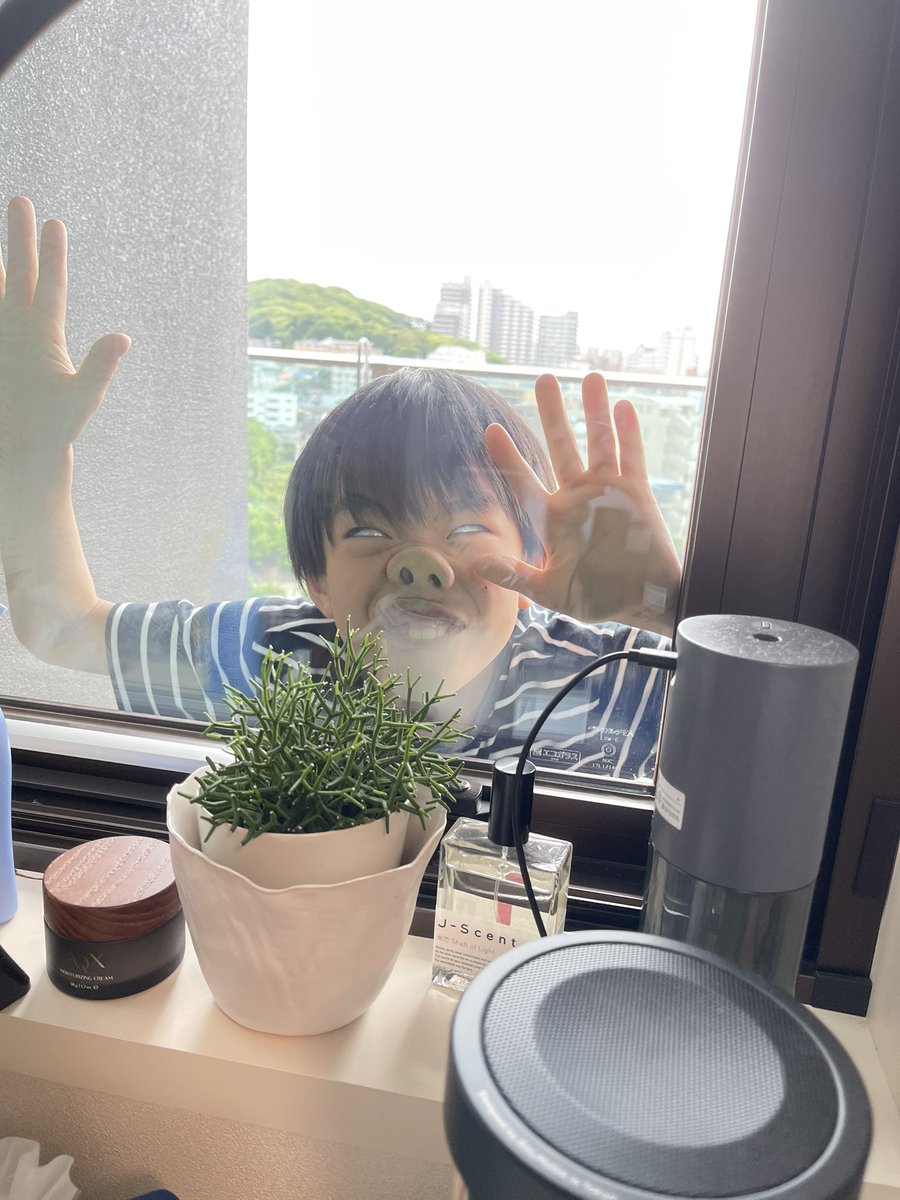 zoom会議してると、息子がこんなふうにして、邪魔してくる。
