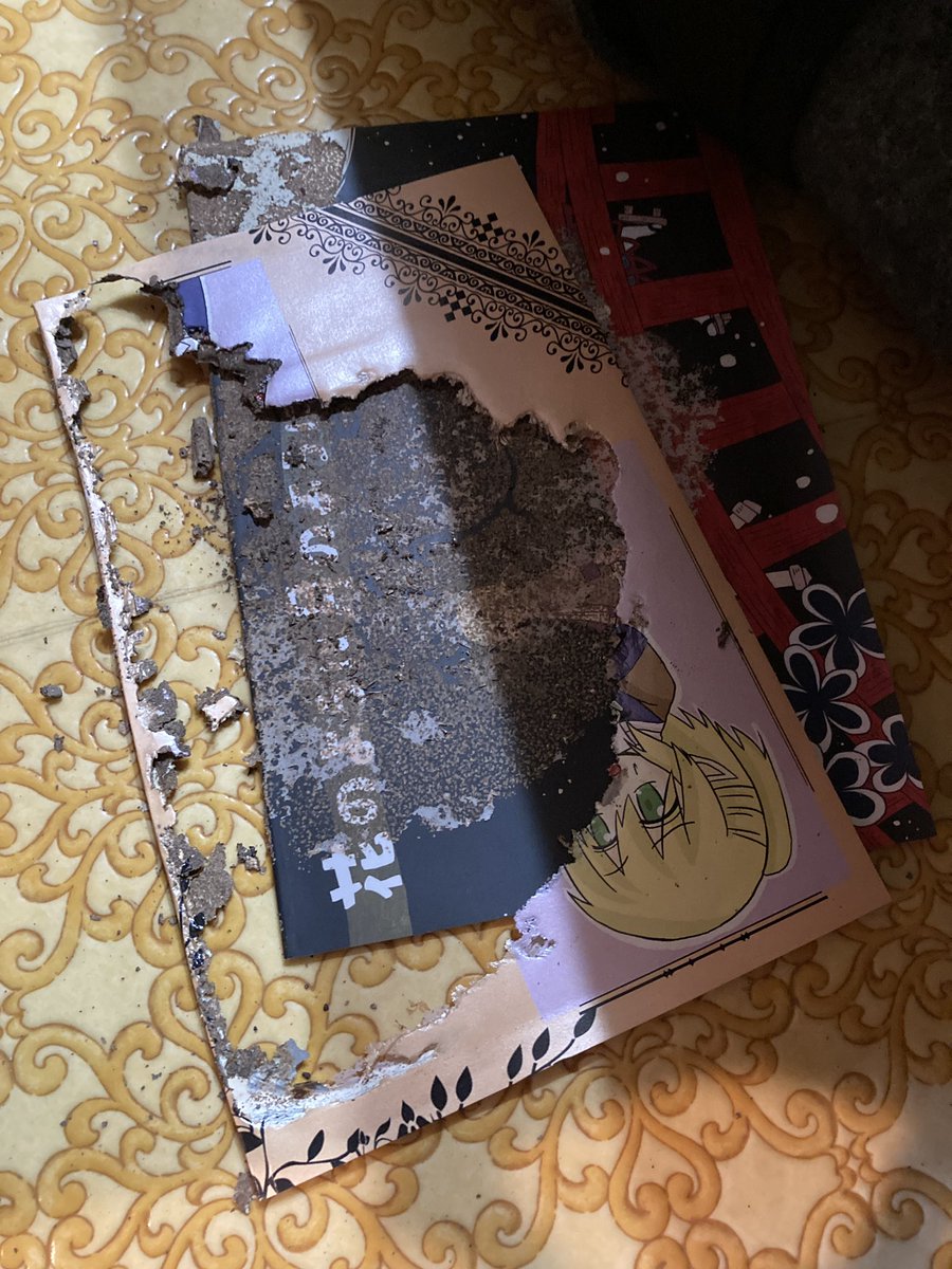 こちらがシロアリに食べられて消滅した薄い本になります。 