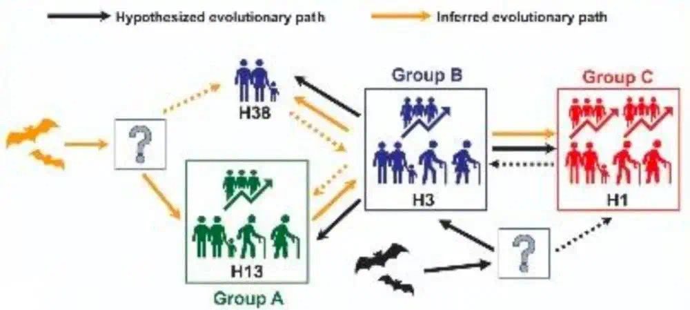 新型コロナウイルスの遺伝子解析の最新の研究から分かった事  ・ゲノムの変異状況から見ると、人為的に作られたものではない ・最初の発生源は武漢ではないどころか、中国ではない ・変異元を辿ると、過去アメリカで小規模に流行ったコロナウイルスが源である可能性が大きい  遺伝子配列は嘘をつかない 