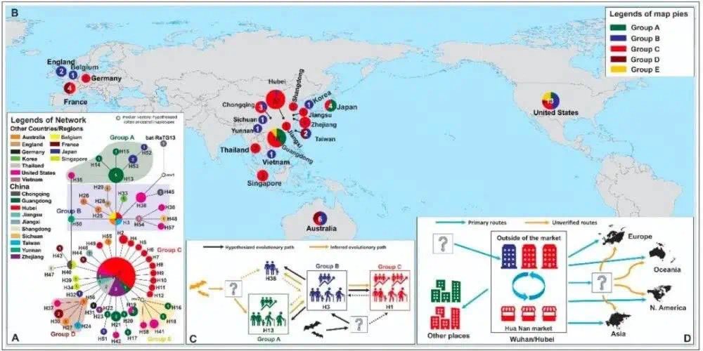 新型コロナウイルスの遺伝子解析の最新の研究から分かった事  ・ゲノムの変異状況から見ると、人為的に作られたものではない ・最初の発生源は武漢ではないどころか、中国ではない ・変異元を辿ると、過去アメリカで小規模に流行ったコロナウイルスが源である可能性が大きい  遺伝子配列は嘘をつかない 