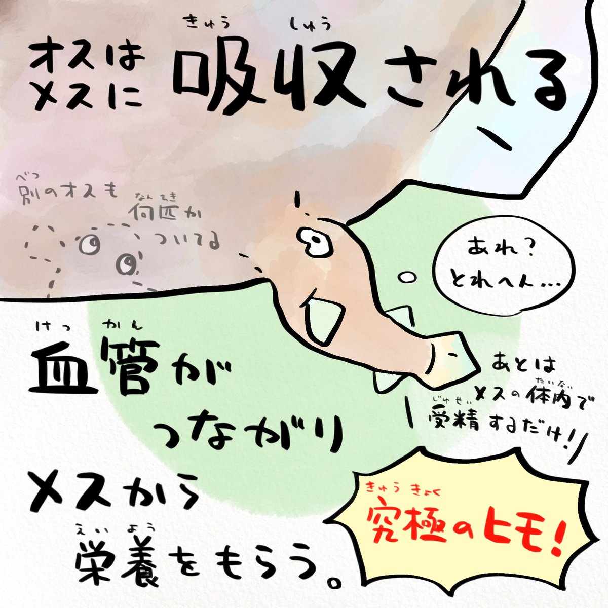 あるところに愛する人と一つになりたいと願った男がいた