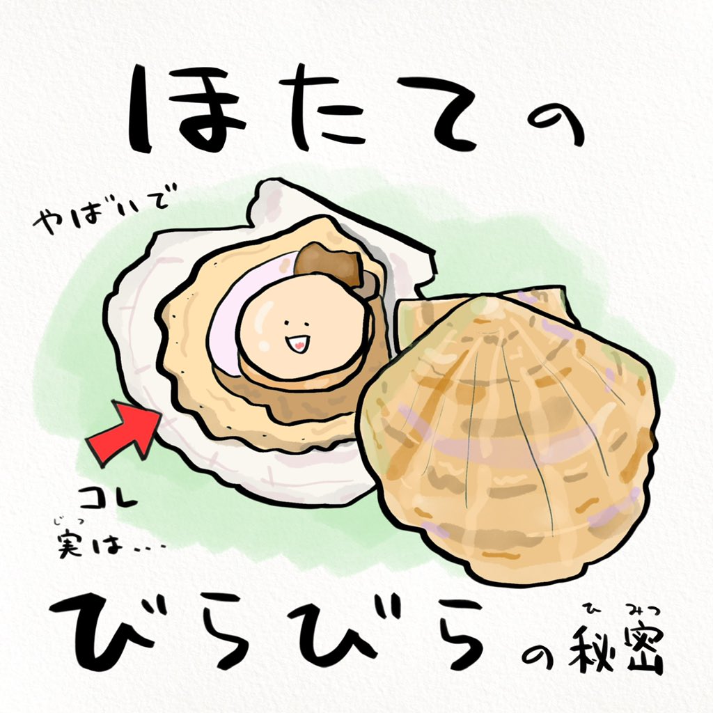 名誉北海道民の皆さんも知らないホタテの話 